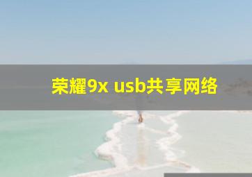 荣耀9x usb共享网络